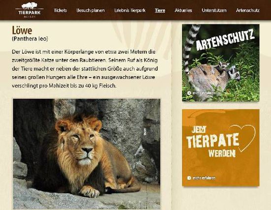 国内动物园老虎狮子很骨感 国外动物园保持昔日雄风