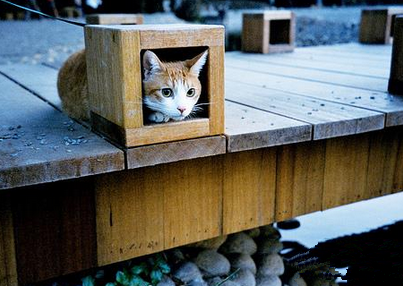 我家的自制14寸迷你TV！