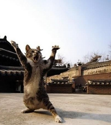 今天不是“世界末日”吗？为什么还要上班？