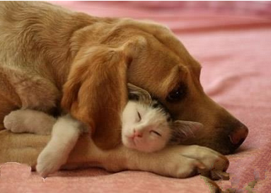 冬天这样睡觉是最舒服的了