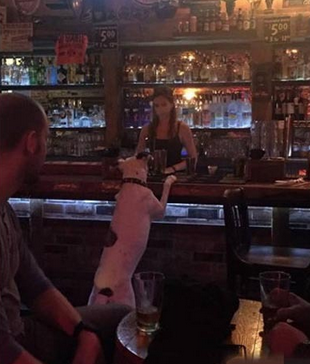 这才是真正的单身狗