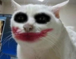 这货照镜子能不能挠死我