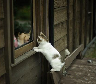 有时候，最好的安慰，就是无言的陪伴