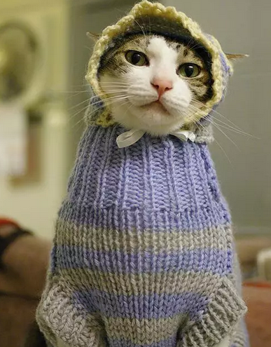 亲爱的，天冷了要加衣哦。