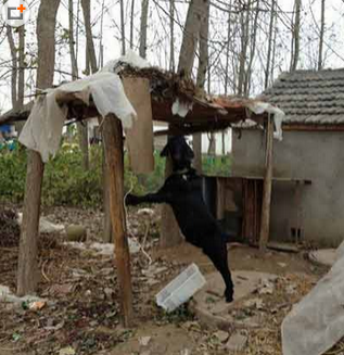 来我家里做客吧