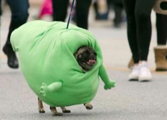 天冷了，多穿点！