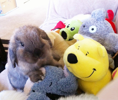 系我地，都系我地，跟谁玩内？好纠结啊。