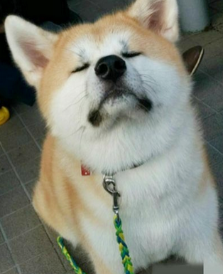 别说话！吻我就对了！