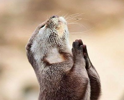 老天给我点吃的吧！