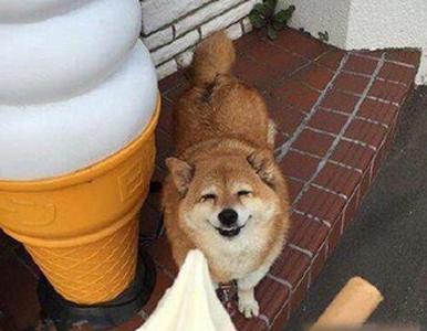 看到朋友拿着好吃的的我，不能更形象……