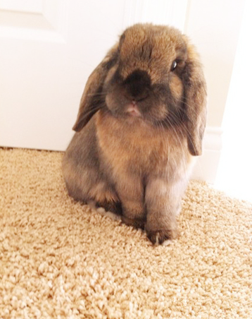 你守着门口也没用啊，今天不许出去玩