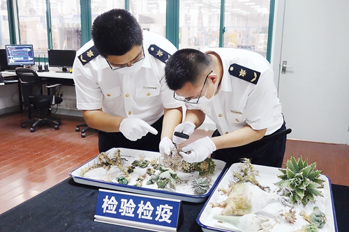 上海铁路检验检疫局查获大量象牙等濒危动植物产品