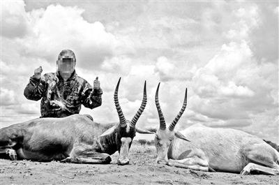 出国打猎并非富人专属 出国打猎成为新兴旅游方式 