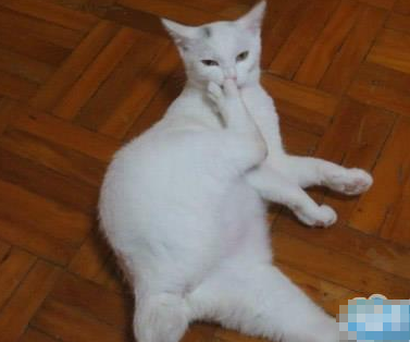 看什么看，没见过用脚趾抠鼻子的吗？