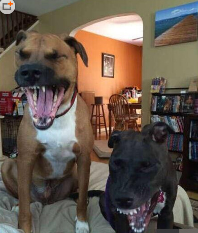 拍照的时候，记得要笑！这个笑的跟打哈欠似的