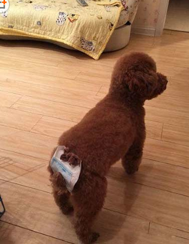 再也不用担心侧漏了