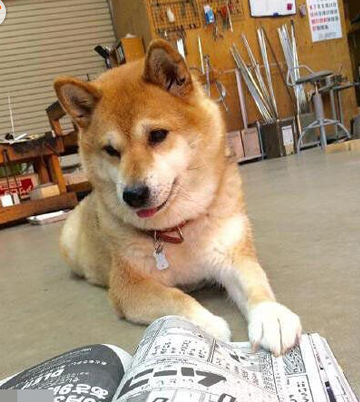 哎哟这本书挺好看的