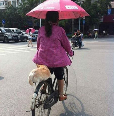 汪在后面坐的人五人六的啊