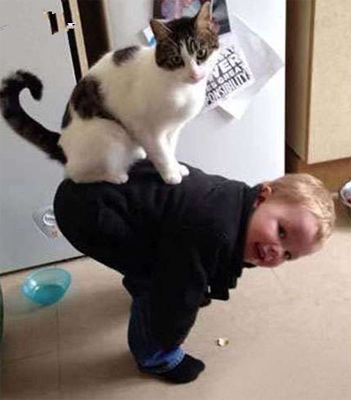 小朋友和猫咪玩得好开心