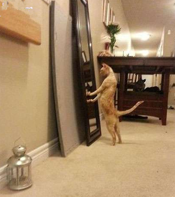 哎油，看来我身材还不错！