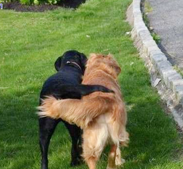 走个路还勾肩搭背