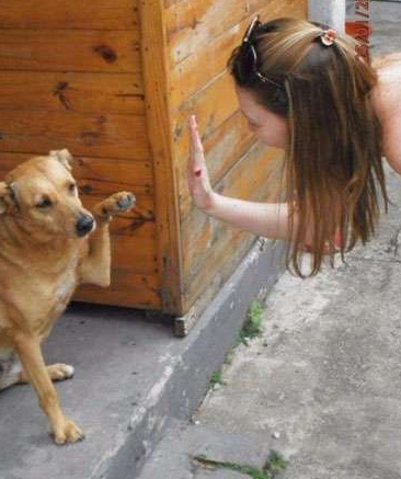 我没睡醒呢 快走开