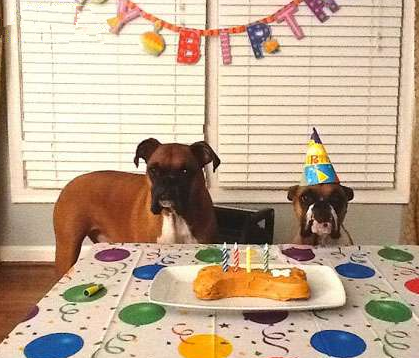 过生日了 来吃蛋糕