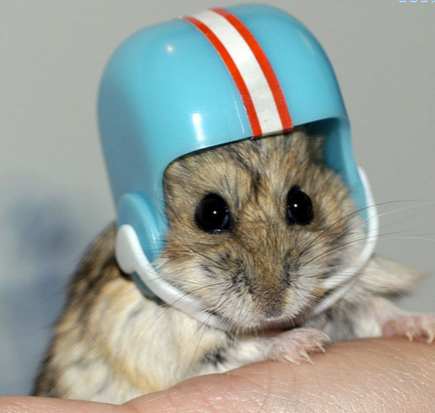 这顶帽子还是很适合我的