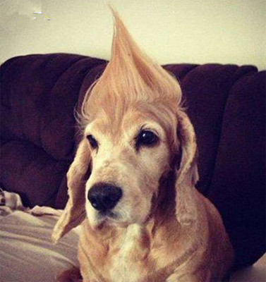 发型不酷不出门！