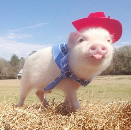 今天太阳有点大