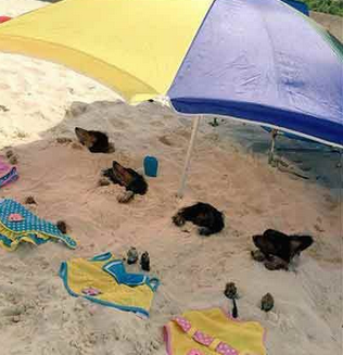 还是二汪会享受啊