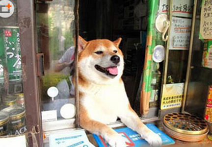 亲！你要买点儿什么？