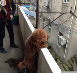 有什么想不开的呢