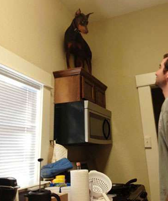 你下来 我保证不惩罚你