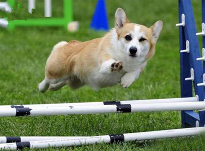 轻轻松松就跳过去了，耶