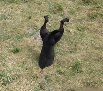 额，下次再也不极速跑了