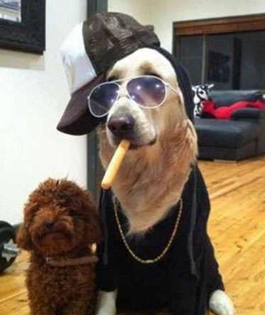 高帅富与屌丝的区别