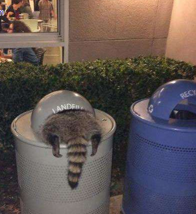 喂！你这是自暴自弃了么！