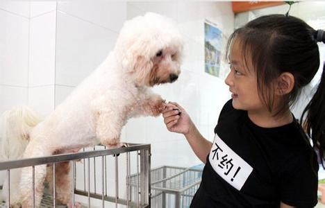 undefined{{pos:,w:,h:}}