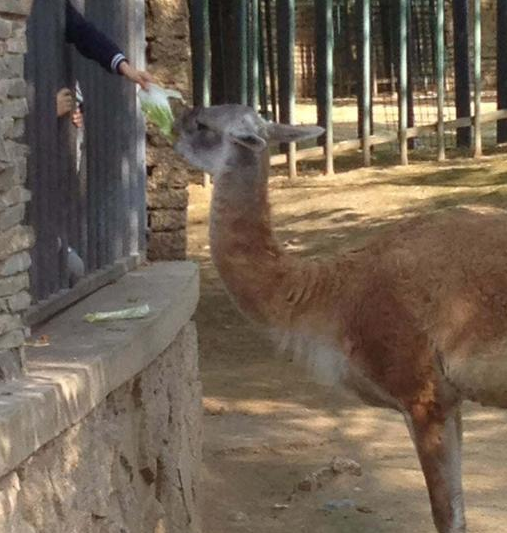 undefined{{pos:,w:,h:}}