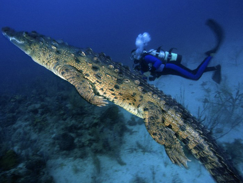 undefined{{pos:,w:,h:}}