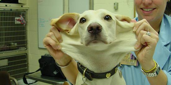 undefined{{pos:,w:,h:}}