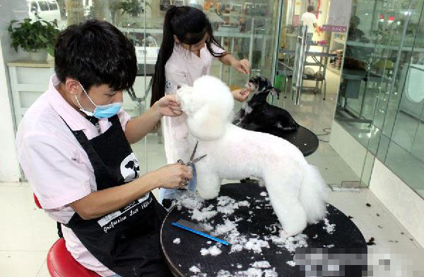 undefined{{pos:,w:,h:}}