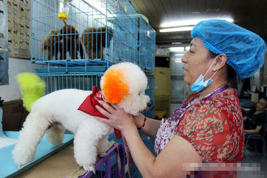 undefined{{pos:,w:,h:}}