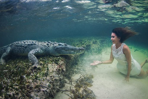 undefined{{pos:,w:,h:}}