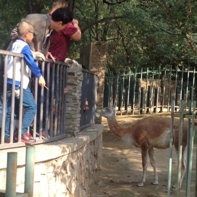 undefined{{pos:,w:,h:}}