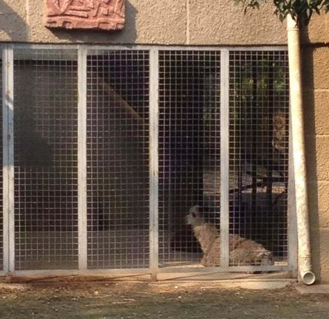 undefined{{pos:,w:,h:}}