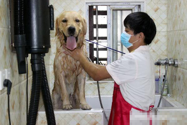 undefined{{pos:,w:,h:}}