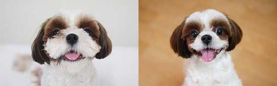 undefined{{pos:,w:,h:}}