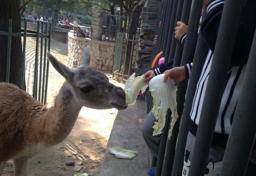 undefined{{pos:,w:,h:}}